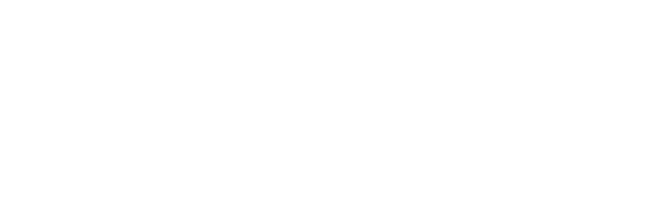 sisrev API Sisrev Informatica